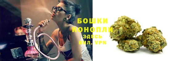 PSILOCYBIN Кодинск