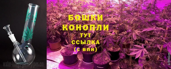 PSILOCYBIN Кодинск