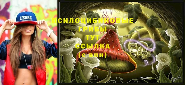PSILOCYBIN Кодинск