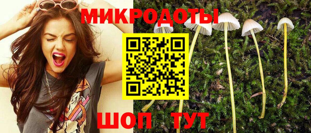 Псилоцибиновые грибы мухоморы  наркота  Вход с VPN  Бердск  Псилоцибиновые грибы Magic Shrooms 