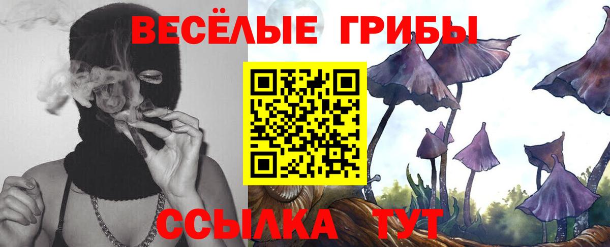 Псилоцибиновые грибы ЛСД Бердск