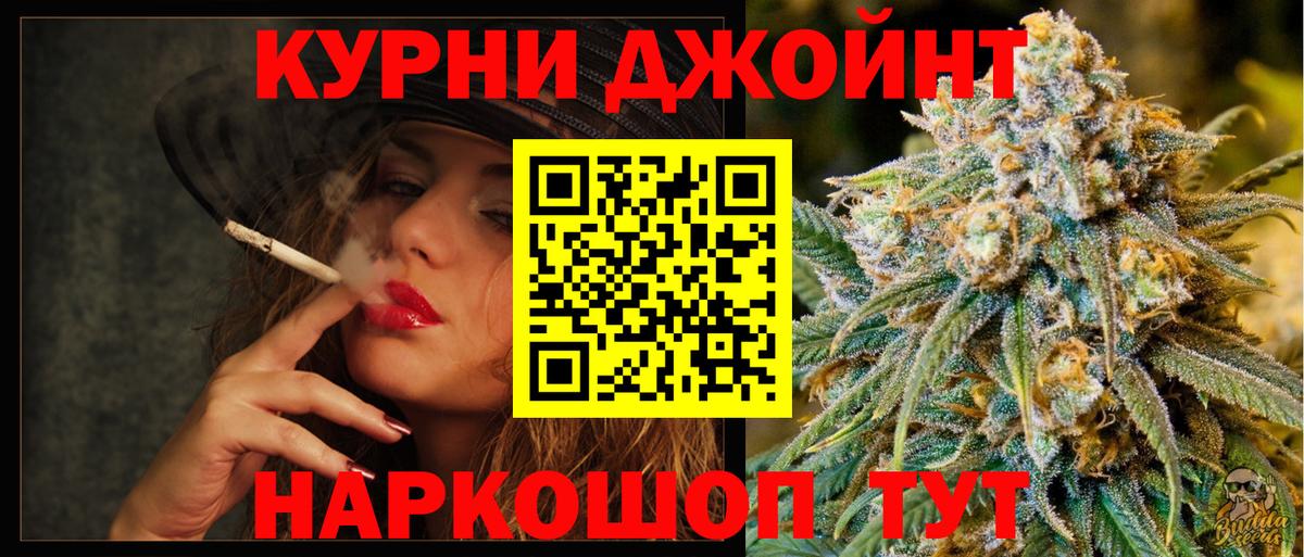 Конопля OG Kush Бердск